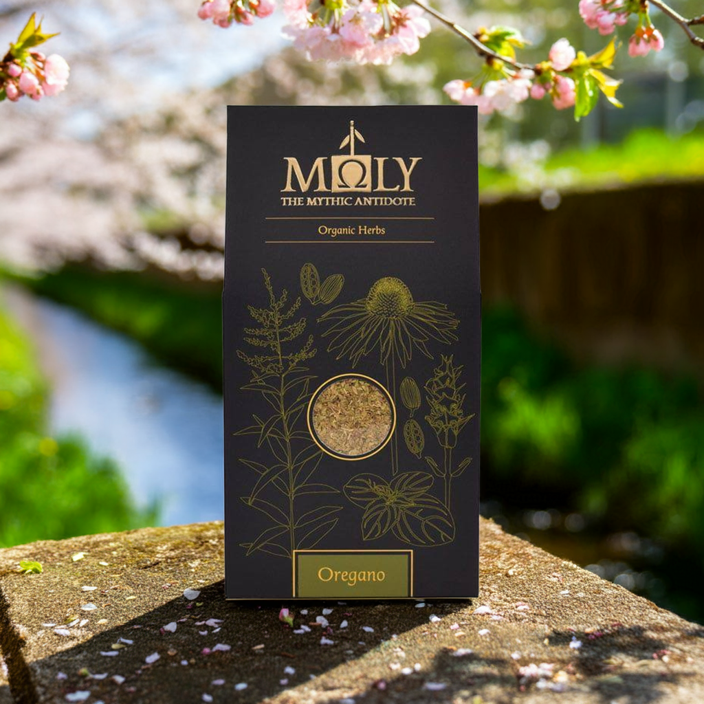 Oregano BIO | aromatisch & intensiv-0