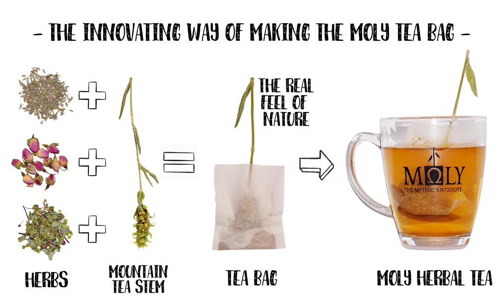 MOLY Ironwort + Salbei BIO Ho.Re.Ca.-2