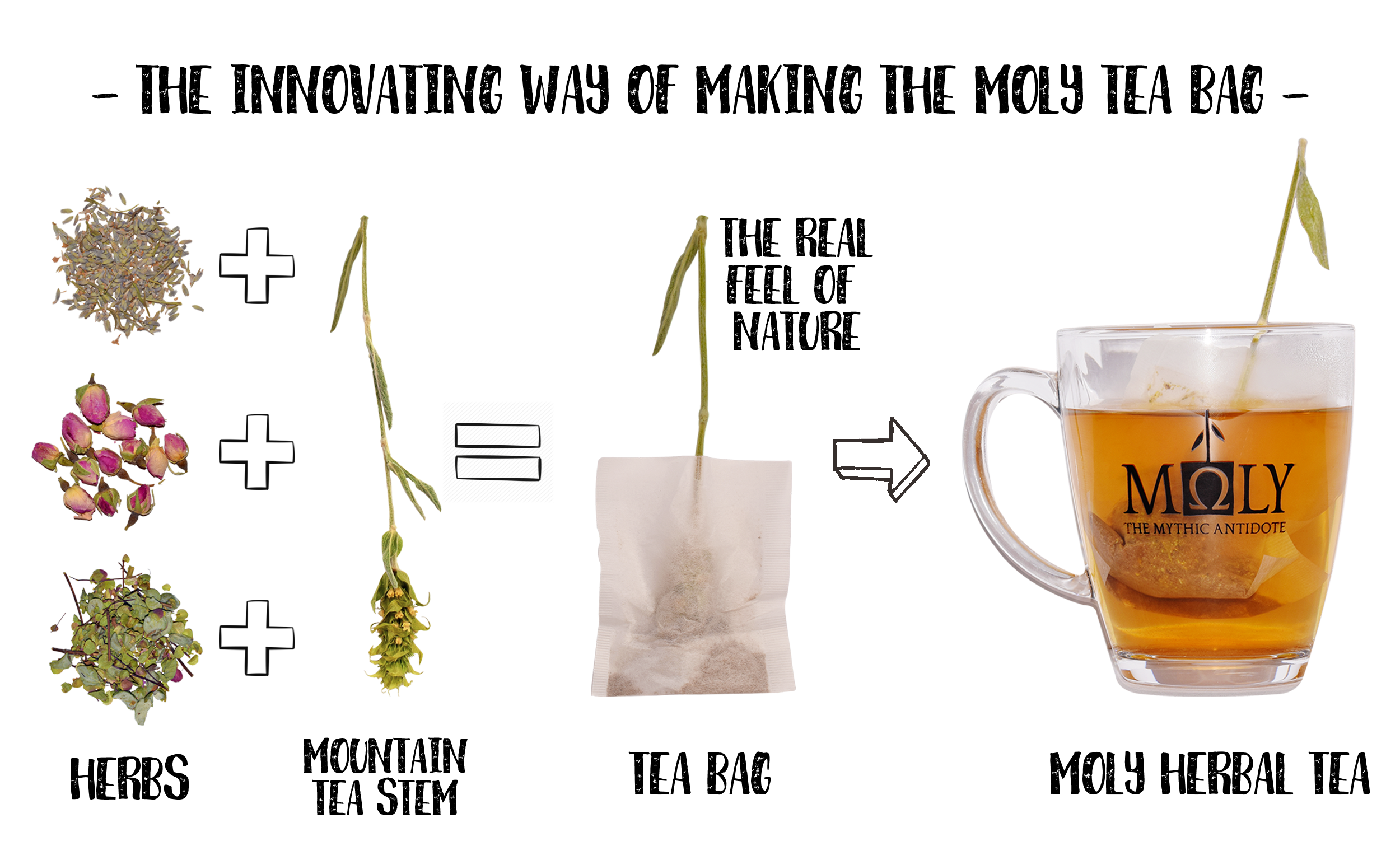 MOLY Ironwort + Kamille BIO Ho.Re.Ca.-2