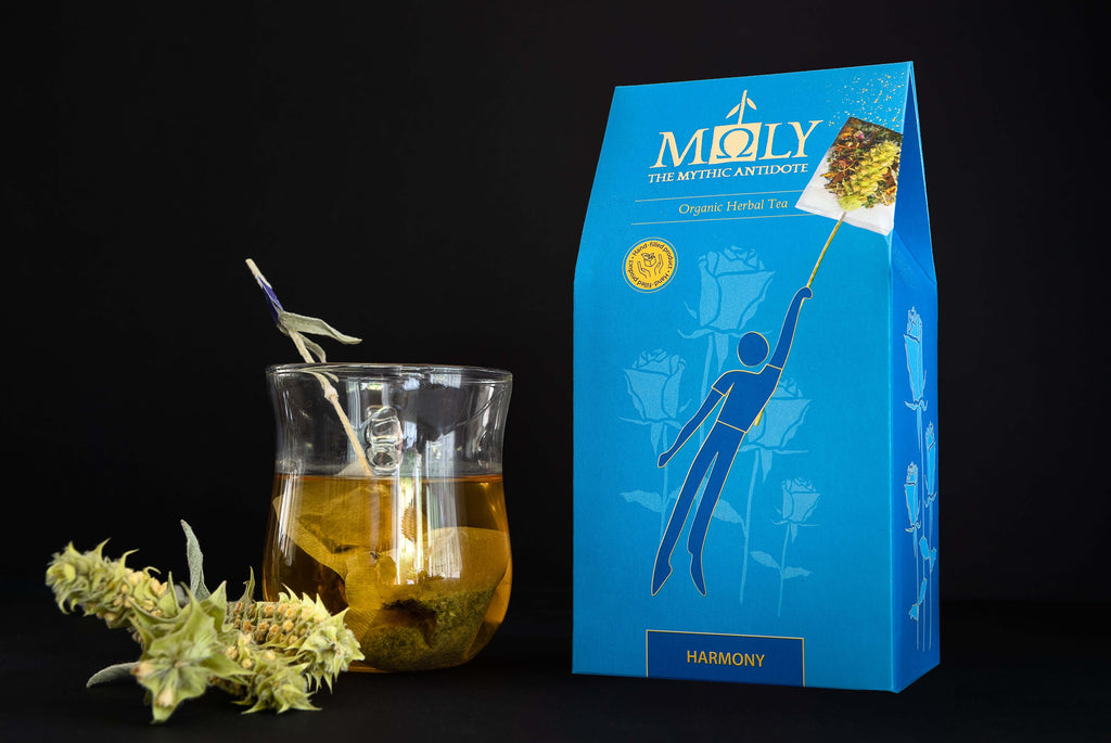 MOLY Harmony BIO Ho.Re.Ca.-patentierte Harmonie-2