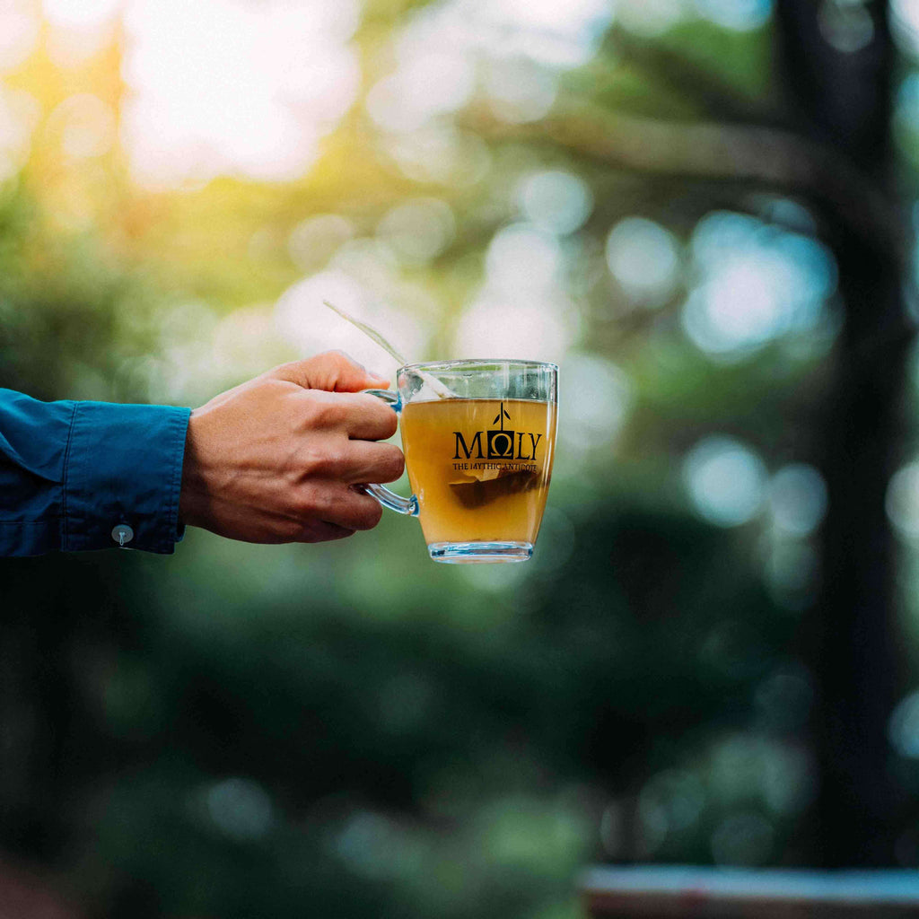 Display Box Moly Kräutertee für Cafes-4