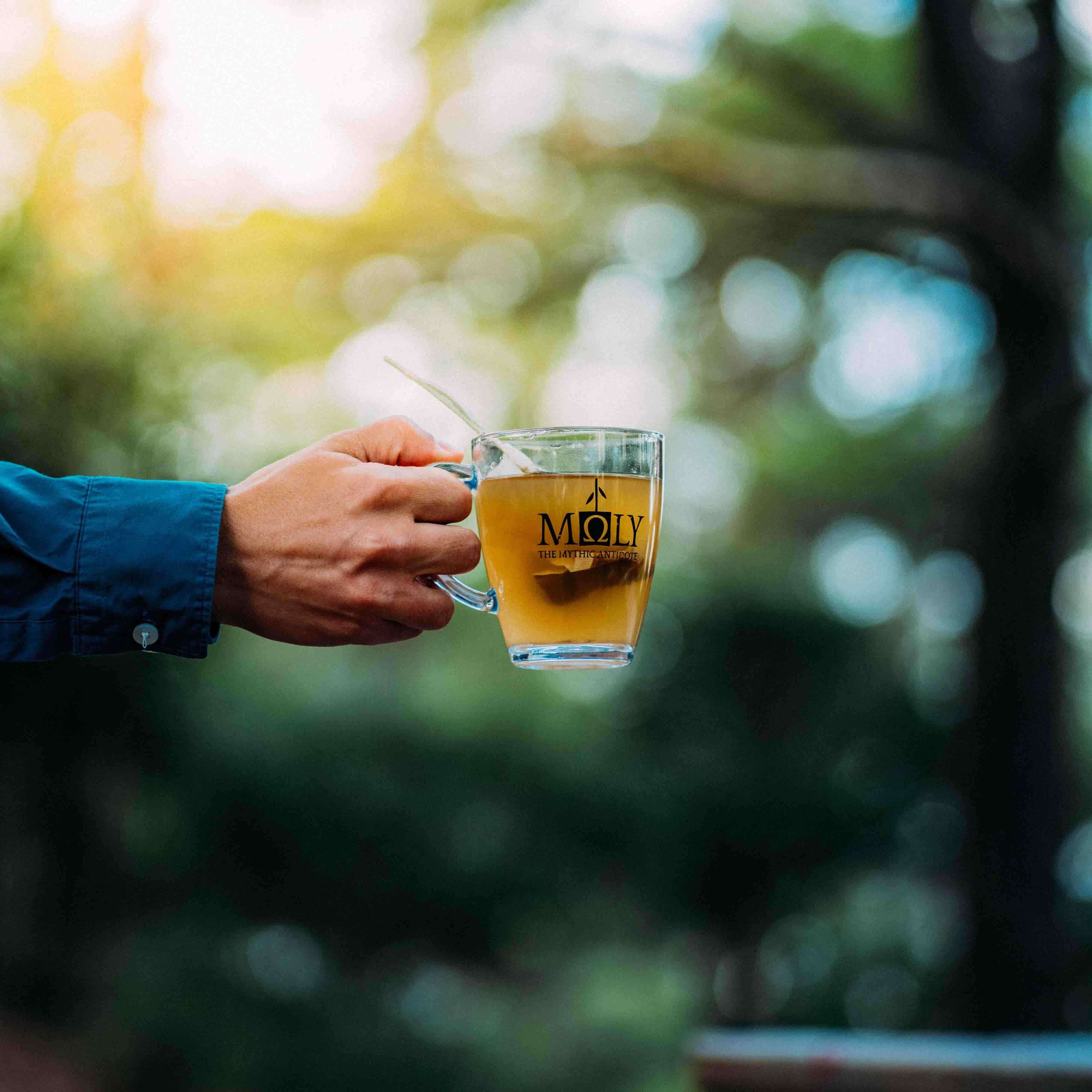 Display Box Moly Kräutertee für Cafes-4